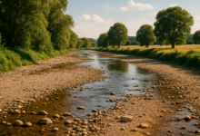 Weser bei Höxter droht erneut auszutrocknen