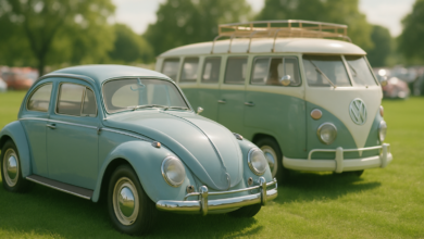 40.000 Besucher erwartet: VW-Oldtimerschau in Hessisch Oldendorf