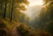 BKK24 als Naturpark-Partner zertifiziert: Wanderbroschüre geplant