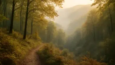 BKK24 als Naturpark-Partner zertifiziert: Wanderbroschüre geplant