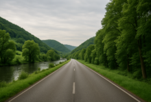 23. Felgenfest: 46.000 Teilnehmer auf 50 km autofreier Strecke