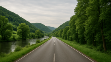 23. Felgenfest: 46.000 Teilnehmer auf 50 km autofreier Strecke