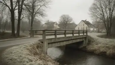 Radweg Steinheim-Höxter eröffnet, Brücken bereiten Sorgen
