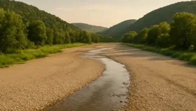 Weser bei Höxter: Pegel könnte auf unter 50 Zentimeter fallen