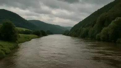 Weser bei Holzminden: So funktioniert die Hochwasser-Überwachung